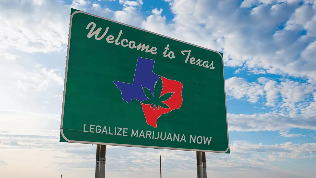 Legalize Marijuana Now!